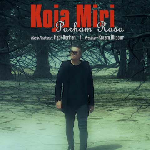 دانلود آهنگ پرهام رسا به نام کجا میری